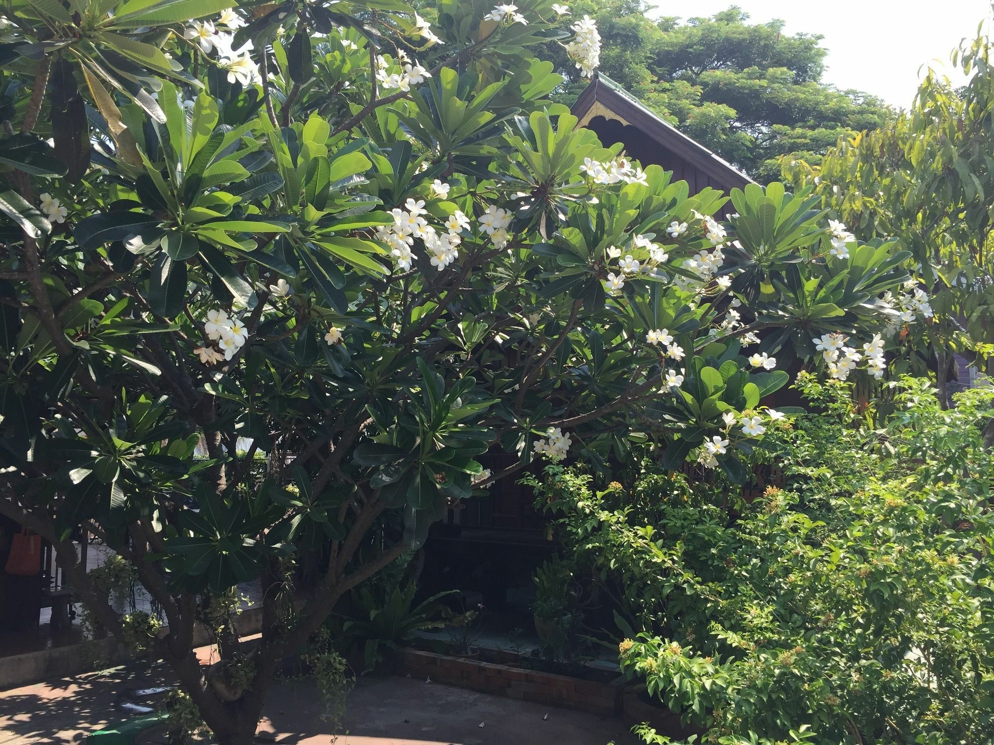 Baan Kong Homestay Αγιουτάγια Εξωτερικό φωτογραφία
